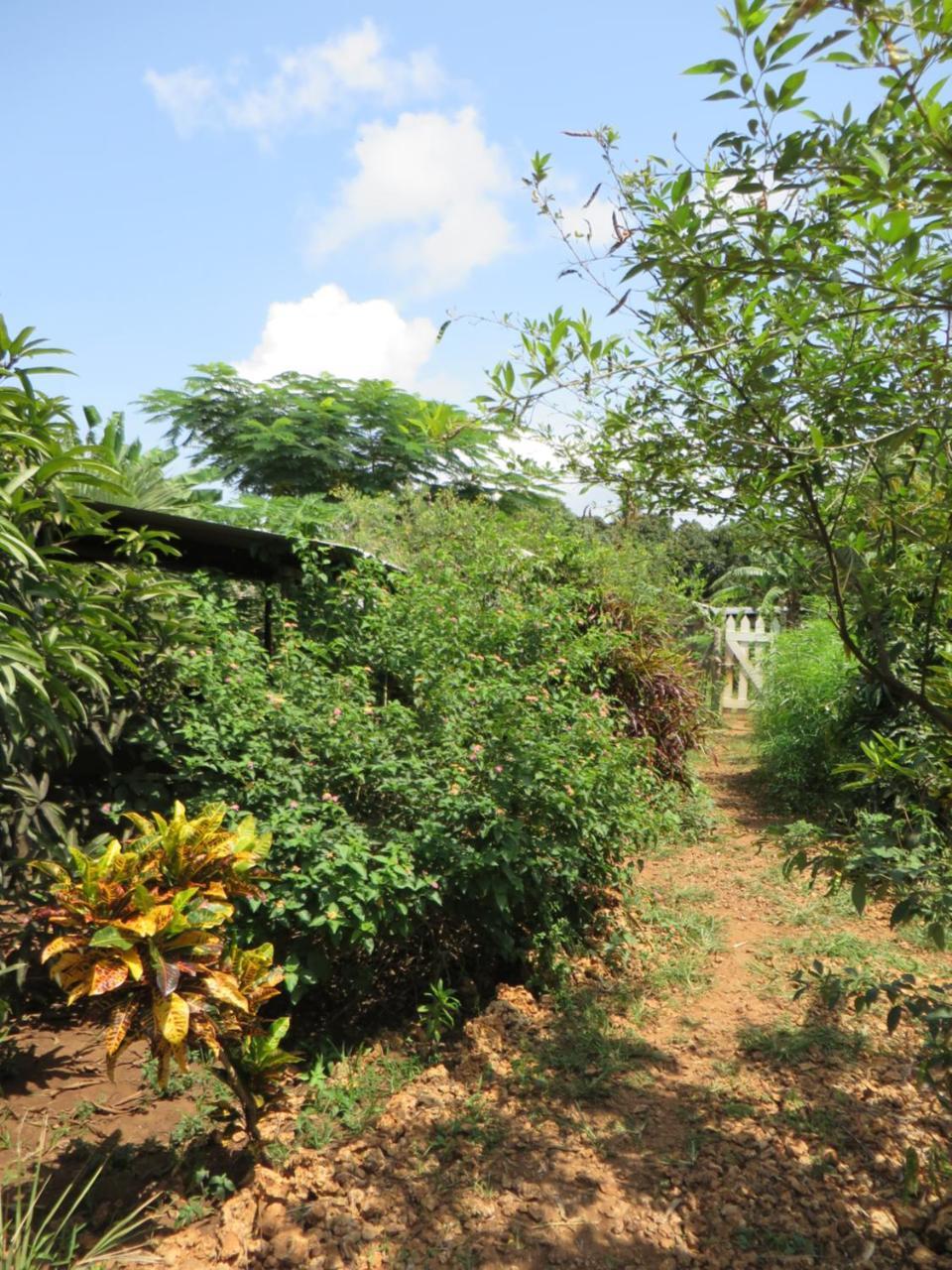 شاطئ دياني Bahati Diani House Glamping المظهر الخارجي الصورة