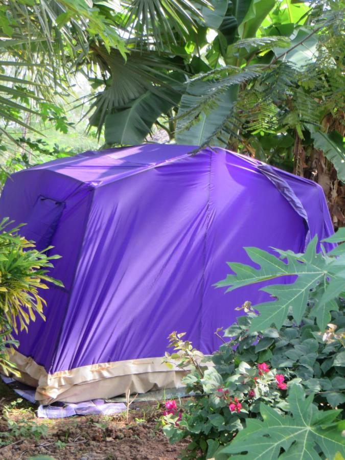شاطئ دياني Bahati Diani House Glamping المظهر الخارجي الصورة